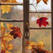 ヒメ日記 2025/10/21 17:08 投稿 葉山 ふうか 大奥 難波店