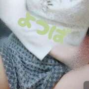 ヒメ日記 2025/06/07 19:14 投稿 よつば もしも清楚な20、30代の妻とキスイキできたら横浜店