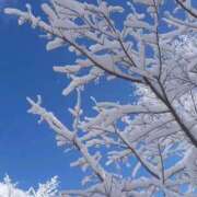 五代春海 こんにちは 五十路マダム　和歌山店