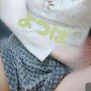 ヒメ日記 2025/06/07 19:06 投稿 よつば もしも優しいお姉さんが本気になったら...横浜店