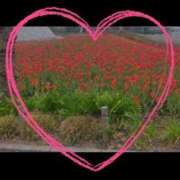 ヒメ日記 2025/04/13 07:01 投稿 はつね 上野デリヘル倶楽部