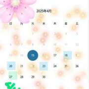 ヒメ日記 2025/04/15 16:28 投稿 はつね 上野デリヘル倶楽部