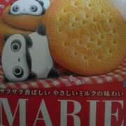 ヒメ日記 2025/11/24 19:22 投稿 はつね 上野デリヘル倶楽部