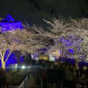 ヒメ日記 2026/04/08 11:18 投稿 りな奥様 金沢の20代30代40代50代が集う人妻倶楽部