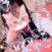 ヒメ日記 2025/07/31 12:44 投稿 ひまり ハッピーハウス