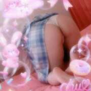 ヒメ日記 2025/08/01 10:01 投稿 ひまり ハッピーハウス