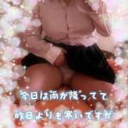 ヒメ日記 2025/12/14 14:29 投稿 ひまり ハッピーハウス