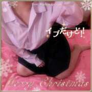 ヒメ日記 2025/12/24 13:06 投稿 ひまり ハッピーハウス