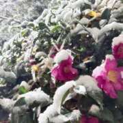 ヒメ日記 2026/01/03 11:59 投稿 ひまり ハッピーハウス