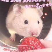 ヒメ日記 2026/04/09 18:39 投稿 あも 素人美少女専門　新横浜アンジェリーク（アンジェリークグループ）