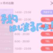 ヒメ日記 2024/11/20 18:28 投稿 ツバサ PALCO