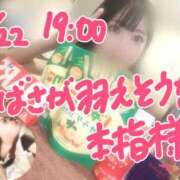 ヒメ日記 2025/01/30 21:00 投稿 ツバサ PALCO