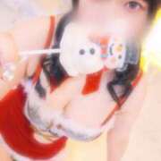 ヒメ日記 2024/12/24 10:02 投稿 さく プラチナ