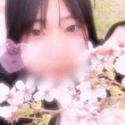 ヒメ日記 2025/04/09 00:32 投稿 さく プラチナ