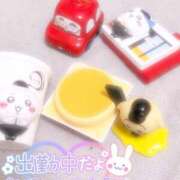 ヒメ日記 2025/05/18 13:22 投稿 さく プラチナ