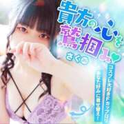 ヒメ日記 2025/05/30 12:03 投稿 さく プラチナ