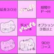 ヒメ日記 2025/06/01 09:22 投稿 さく プラチナ