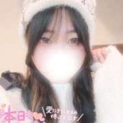 ヒメ日記 2025/06/08 11:02 投稿 さく プラチナ