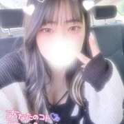 ヒメ日記 2025/06/13 14:42 投稿 さく プラチナ