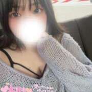 ヒメ日記 2025/06/22 11:22 投稿 さく プラチナ