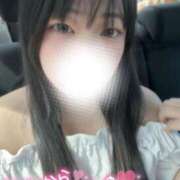 ヒメ日記 2025/06/29 09:22 投稿 さく プラチナ