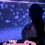 ヒメ日記 2025/07/14 13:22 投稿 さく プラチナ