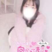 ヒメ日記 2025/08/06 17:42 投稿 さく プラチナ