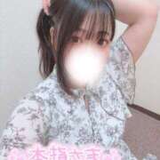 ヒメ日記 2025/08/20 18:42 投稿 さく プラチナ