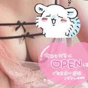 ヒメ日記 2026/02/12 10:45 投稿 さく プラチナ