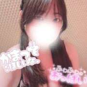 ヒメ日記 2026/02/22 11:20 投稿 さく プラチナ