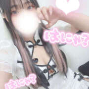 ヒメ日記 2026/02/25 10:41 投稿 さく プラチナ