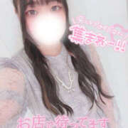 ヒメ日記 2026/03/02 12:20 投稿 さく プラチナ