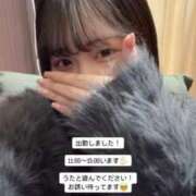 ヒメ日記 2024/12/17 11:44 投稿 うた 錦糸町ティラミス（シンデレラグループ）