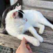 あんな⭐︎某水◯アナ激似 今週の出勤- ̗̀👏🏻 ̖́‐ かりゆしOLの秘密【20代沖縄美女多数在籍-デリヘル×ヌードエステ】