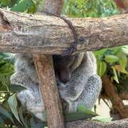 ヒメ日記 2025/10/27 20:26 投稿 まきほ Vivienne池袋西口店