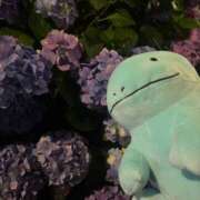 Roi ヌ◯ーさんと紫陽花????? THE RICH