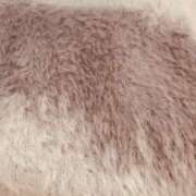 ヒメ日記 2025/01/16 14:06 投稿 ゆの お姉さんSelect