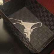 ヒメ日記 2025/12/14 21:10 投稿 ゆの お姉さんSelect