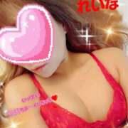 ヒメ日記 2025/04/29 12:05 投稿 れいな 多恋人倶楽部（山口）