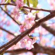 ヒメ日記 2025/03/10 20:15 投稿 Gの未体験衝撃『あおい』 ESSENCE