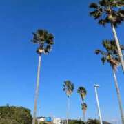 ヒメ日記 2025/03/17 18:15 投稿 Gの未体験衝撃『あおい』 ESSENCE