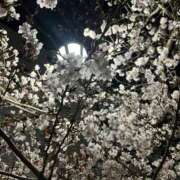 ヒメ日記 2025/04/02 23:48 投稿 Gの未体験衝撃『あおい』 ESSENCE