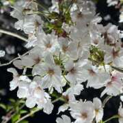 ヒメ日記 2025/04/08 23:55 投稿 Gの未体験衝撃『あおい』 ESSENCE