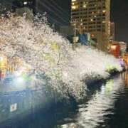 ヒメ日記 2025/04/11 18:04 投稿 Gの未体験衝撃『あおい』 ESSENCE