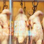 ヒメ日記 2025/04/24 19:03 投稿 Gの未体験衝撃『あおい』 ESSENCE