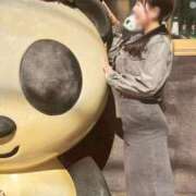 ヒメ日記 2025/04/26 20:02 投稿 Gの未体験衝撃『あおい』 ESSENCE