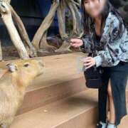 ヒメ日記 2025/04/26 22:31 投稿 Gの未体験衝撃『あおい』 ESSENCE