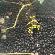 ヒメ日記 2025/05/03 12:06 投稿 Gの未体験衝撃『あおい』 ESSENCE