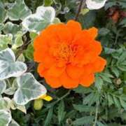 ヒメ日記 2025/05/21 20:03 投稿 Gの未体験衝撃『あおい』 ESSENCE