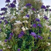 ヒメ日記 2025/05/22 15:02 投稿 Gの未体験衝撃『あおい』 ESSENCE